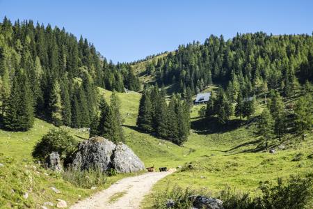 Planina Loka (Foto: MIT, Ivan Majc)